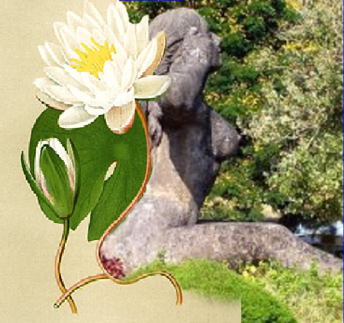 Kuvalai and the women